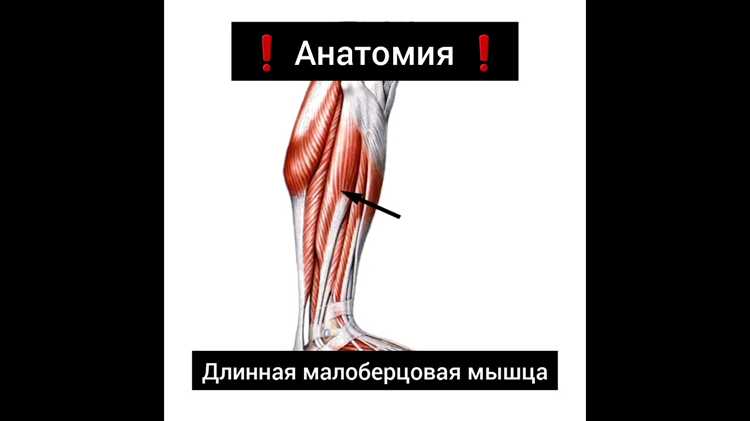 Физиотерапия как способ лечения онемения стопы