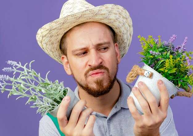 Шалфей: применение отваров для регулировки жирности кожи