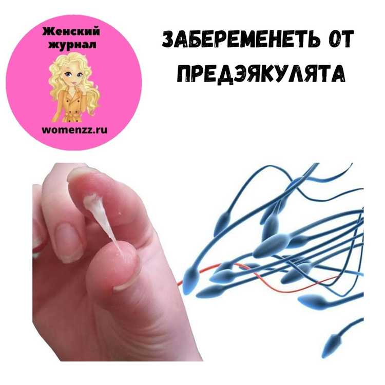 Механизм беременности: от сперматозоида до имплантации