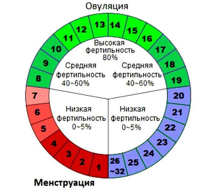 Роль физической активности в процессе овуляции