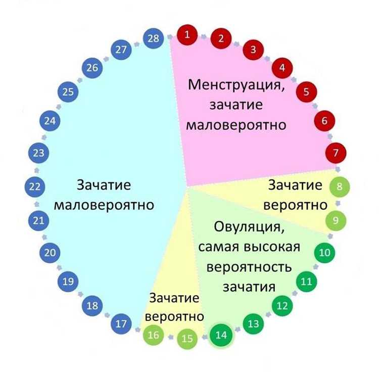 Определение овуляции в 25-дневном цикле