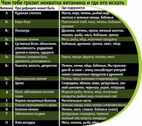Проверка уровня витаминов: лабораторные методы