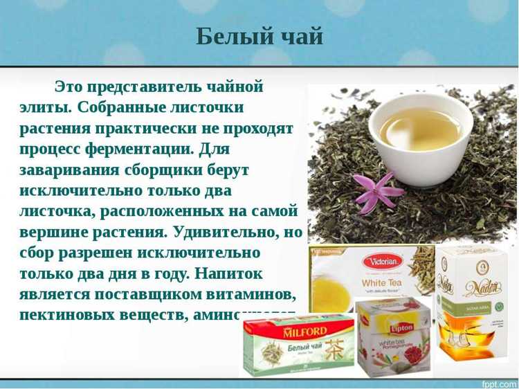 Виды чаев: какой выбрать для ребенка до 3 лет?
