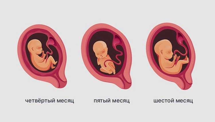 Развитие малыша в 9 месяце