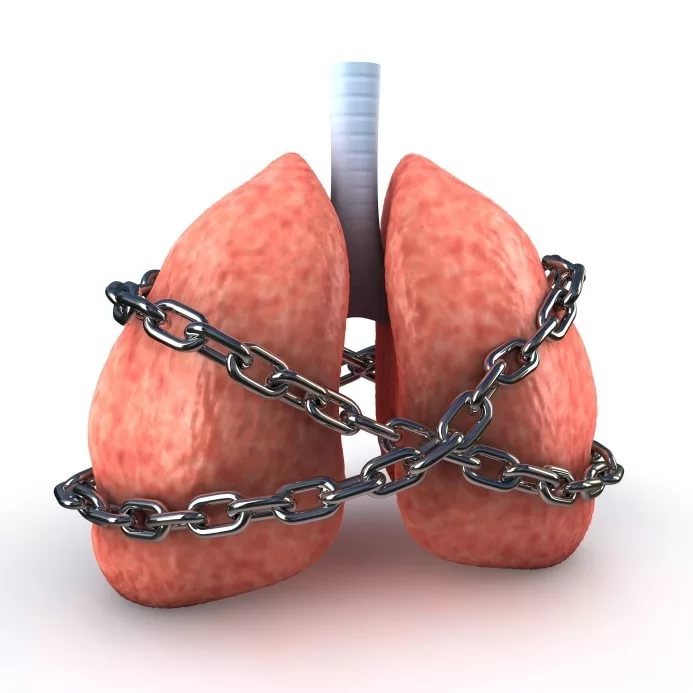 Чаи при бронхиальной астме thumbnail